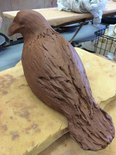 bird