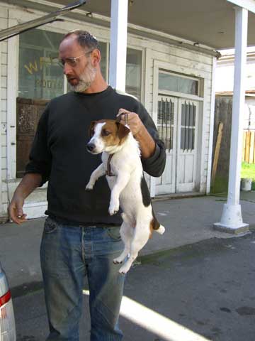 dog held up on harness